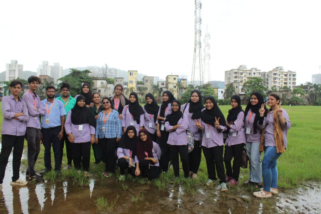 Tree Plantation
